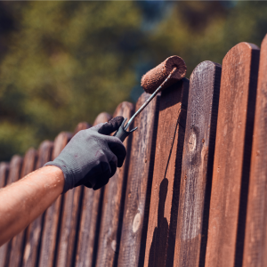 Person staining a wooden fence