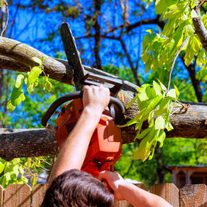Person cutting a tree branch with an electrical saw