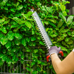 Person cutting a tree branch with an electrical saw