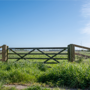 Short, wooden fence in a field
